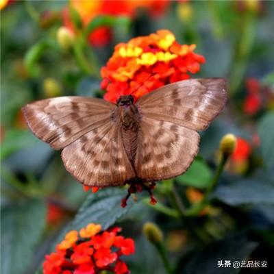 胖哒云游官方版下载