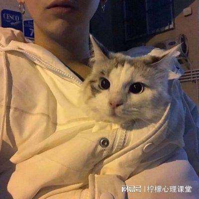 鸿图之下小米版下载